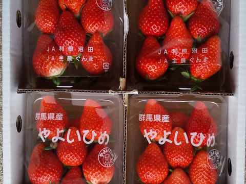 【初摘み】いちご中身おまかせ8パック 【よつぼし】【おいCベリー】【やよいひめ】から収穫開始次第、品種(1から2品種)とサイズは、おまかせでお届け‼︎ 朝採りをその日のうちに発送します(^^)