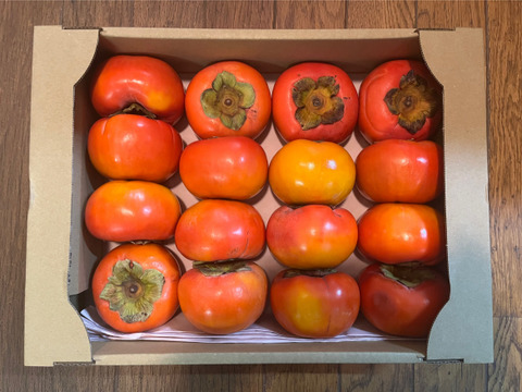 【送料500円引き🍂】甘柿の王様！　富有柿🟠✨ファミリーパック サイズM〜L 16玉前後入り