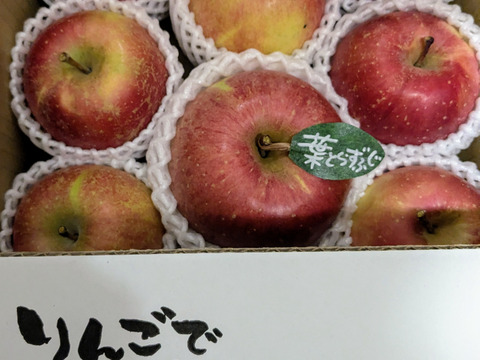 【冬ギフト】 🍎《家庭用》青森完熟葉とらずふじ８〜１５玉(約３kg)🍎ID119812