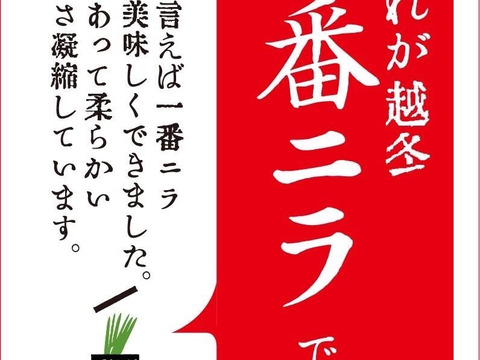 1年間採れたてのニラづくし‼️ニラ好き様のためのニラだけの定期便✨月毎に違ったニラが楽しめます。