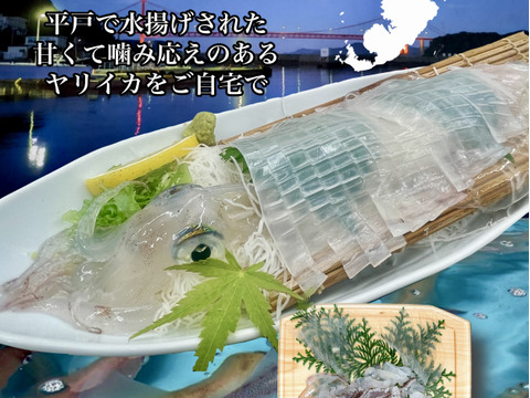 長崎県平戸産ヤリイカ刺身　300ｇ
