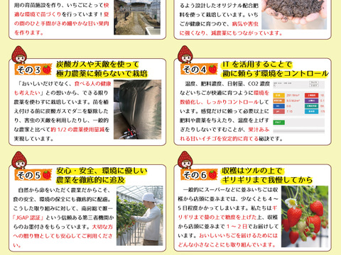 小粒＆変形加工用傷ありいちご1kg！ジャムやスイーツ作りにどうぞ♪