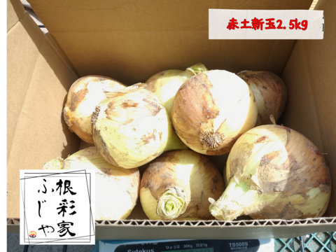 【農薬・化学肥料不使用】トロあま！極早生の赤土新玉ねぎM〜Lサイズ2.5kg