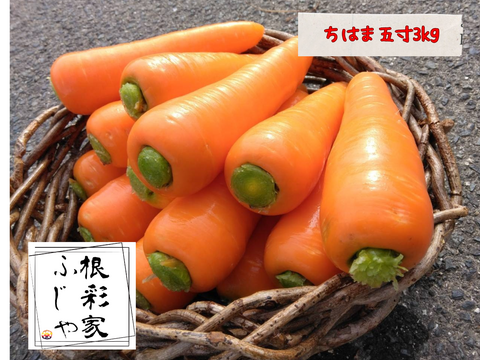 爽やかな香りと最高の甘み！冬人参【ちはま五寸】3kg