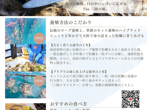 大振りの身が詰まったThe Oyster！【三陸ジオイスター】20個入り