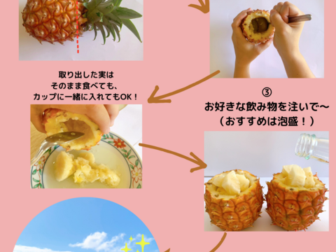 ミニピーチパイン2㎏4-6玉