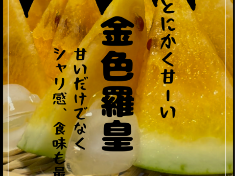 【雅】糖度13-17以上【金色羅皇】『大里果樹園のスイカ』2Ｌ-3Ｌ
