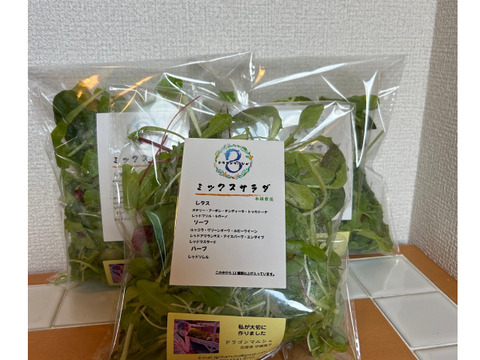 レストランのミックスサラダ