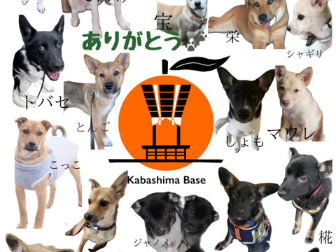 長崎県産訳あり伊木力系温州みかん5Kg