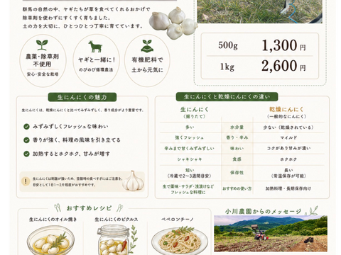 令和8年度　群馬県産　生ニンニク 有機肥料栽培　農薬化学薬品無使用　1kg