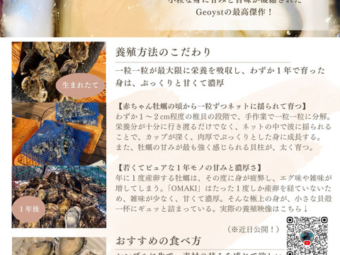 甘みと濃厚さ抜群の極上牡蠣！【OMAKI】100個入り