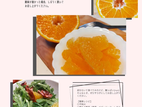 "予約販売" 数量限定！【お歳暮】冬の味覚の大人気！熊本名産『不知火柑』8玉 化粧箱入り！〘ハウス栽培〙もちろん自宅用やギフトにも！ 12月中旬発送開始！ とっても爽やかジューシー♪ 【冬ギフト】