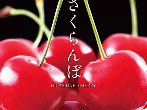 【贈答、プレゼント用】数量限定‼︎手詰め‼︎佐藤錦発祥の地。山形県東根産佐藤錦