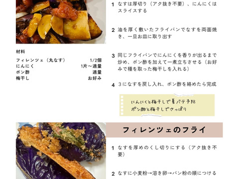 【世界一美味しいナス】イタリアナス『フィレンツェ』4個入り