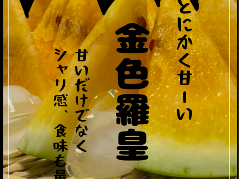【雅】糖度13-17以上【金色羅皇】『大里果樹園のスイカ』4Ｌ-5Ｌ