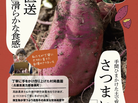 【年末大特価】紅はるか(ML)と安納芋（２Ｓ~Ｓ）８kgセット！栽培期間中農薬不使用の「さつまいも」