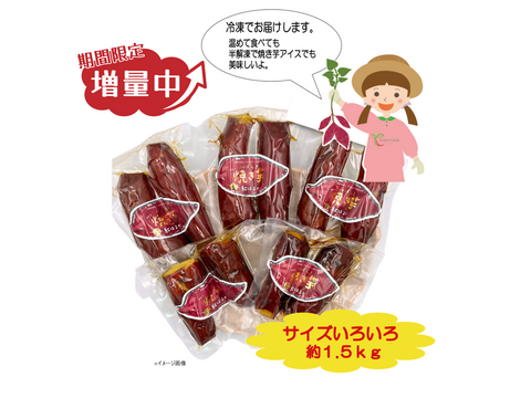 ○大感謝祭○【増量中】完熟紅はるか　冷凍焼き芋　
            サイズ色々 　約1.5kg♪
