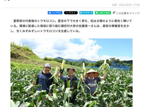 【夏ギフト】高糖度！2品種食べ比べ＆ベビーコーン　ドルチェ・恵味　とうもろこしセット4.5kg