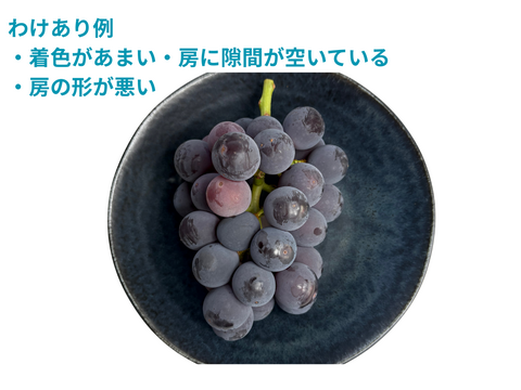 ☆クール便対応可【わけありお得！】大粒！種無し巨峰3kg　山梨県牧丘町産【家庭用】