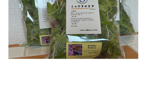 レストランのミックスサラダ