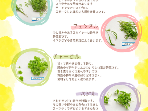 【週末発送★数量限定】マイクロハーブ　5種セット/各２g