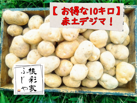 【新じゃが】農薬・化学肥料不使用！
山の赤土で育った赤じゃが「デジマ」お得な10キロM~Lサイズ