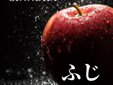 【予約】サンふじりんご　信州安曇野市産　優品　5㎏箱　約12〜16玉