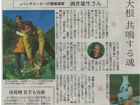 葉っぱまでおいしい！京の伝統野菜” 佐波賀 大根  (さばか だいこん) „【約2.5～3Kg】