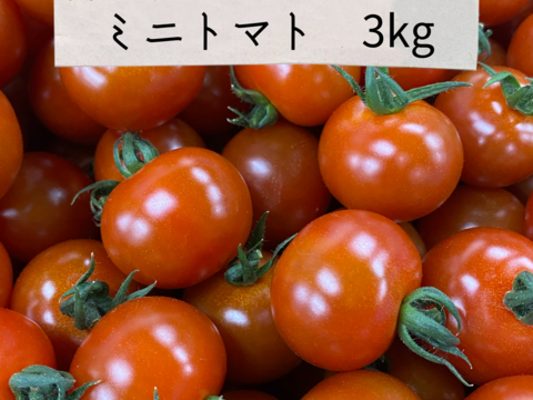 もうひとつぶミニトマト（3kg）