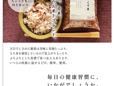 するがみっくす