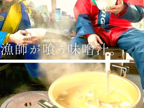 漁師が喰う味噌汁 5p入り 青森県産 食べチョク 農家 漁師の産直ネット通販 旬の食材を生産者直送