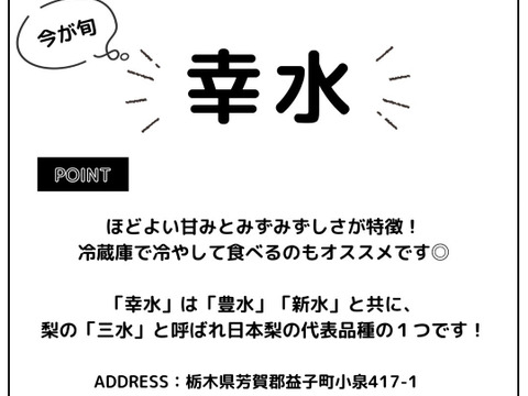 ※今季ラスト※　スッキリとした甘さ！大人気の幸水梨　3㎏