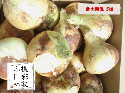 【農薬・化学肥料不使用】トロあま！極早生の赤土新玉ねぎM〜Lサイズ5kg