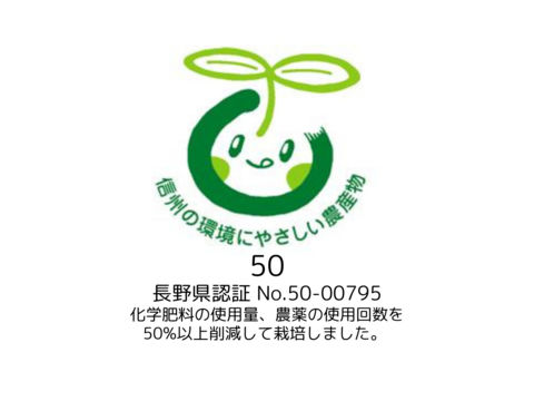 生産農家直送 りんご シナノリップ 訳あり ご家庭用 3kg 長野県産 信州りんご発祥の地 長沼りんご 産地直送 除草剤不使用 人にやさしく環境にもやさしい
