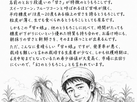 【朝どれ】『アロハ🤙でレンちん！コーンバイカラ』8〜10本【6月初旬から早期発送】※採れたて続く魔法のシートで全国発送でも朝どれ鮮度のトウモロコシを！