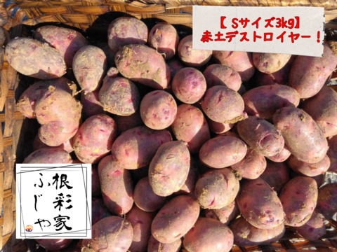 【新じゃがSサイズ】農薬・化学肥料不使用！小芋コロコロ一口サイズのデストロイヤー3kg