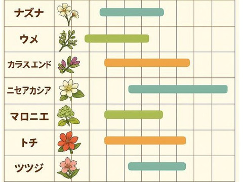 【伝えたい味】自然入居🐝ニホンミツバチの天然はちみつ（非加熱・手しぼり／360g）🍯