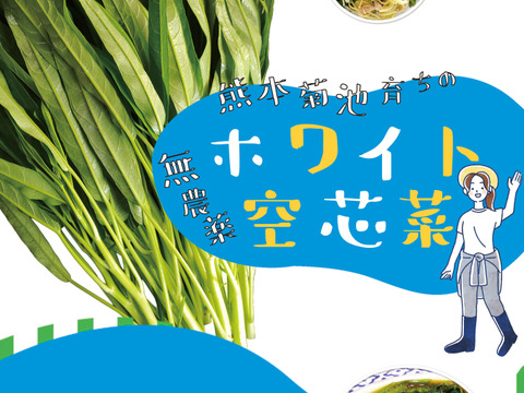 「ホワイト空心菜」で食卓に彩りを！ 【１００ｇ×５袋】
