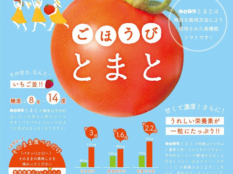 【数量限定】ごほうびフルーツトマト 糖度がイチゴと同じ❕1㎏