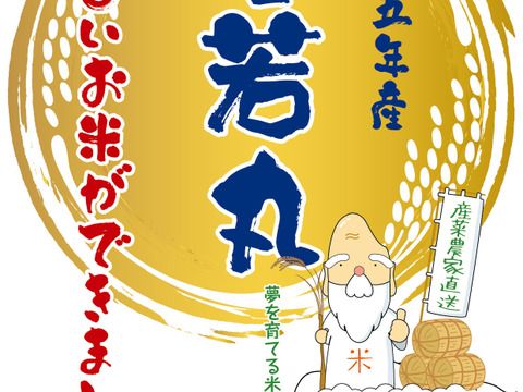 山形県産雪若丸　令和5年産2合×2セット白米　甘味のある新食感！