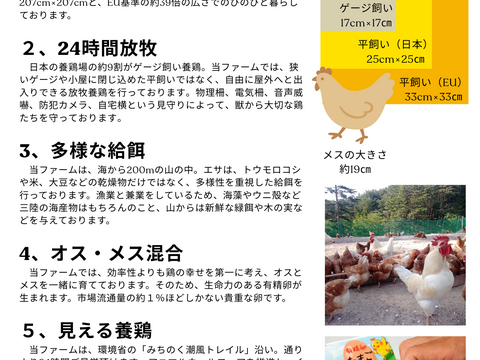 わかめ漁師の放牧有精卵 36個 岩手県上閉伊郡大槌町 国産もみじ 平飼い さんりく海山ファーム