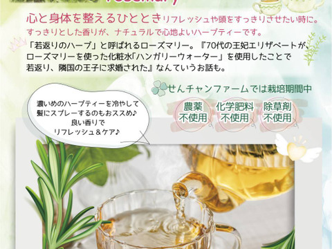 ローズマリーティーお試しサイズ2袋セット