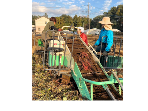【嬉しいセットA】茨城県産
・完熟紅はるか　2kg
・とろける干し芋『蜜千姫』（100gx2p）