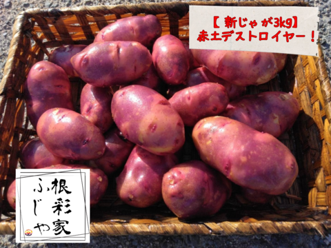 【新じゃが】農薬・化学肥料不使用！
山の赤土で育った赤じゃが「デストロイヤー」3キロ。