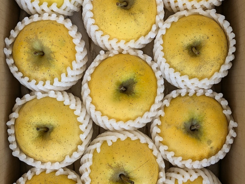 【訳あり】季節外のフレッシュりんご！！スマートフレッシュ処理・シナノゴールド約3kg