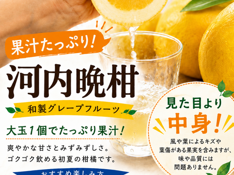 箱込み10㌔　果汁たっぷり河内晩柑 （和製グレープフルーツ）