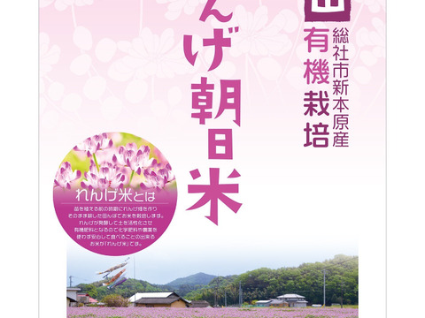 令和6年度新米。岡山朝日蓮華米【10kg】
大粒でもっちり香りもばっちり白米。
予約販売中
