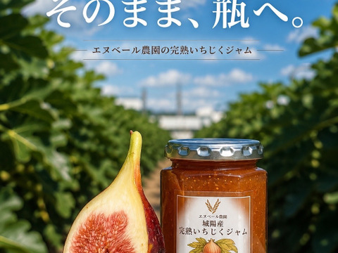 【完熟】城陽産輝きのいちじく+ジャムセット　エヌベール農園