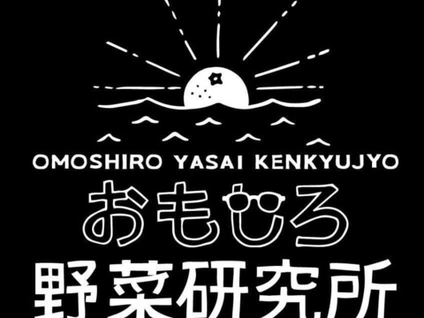 ごんぶと！加賀太きゅうり　4kg（約６～7本）