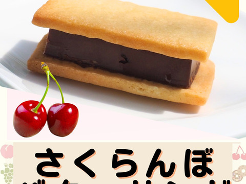 ・【冬ギフト】お歳暮に★新商品さくらんぼのバターサンド入り！バターサンド12個セット★「熨斗対応可」